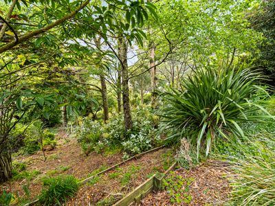 211 Signal Hill Road, Opoho