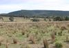 Lake Endeavour Road, Parkes