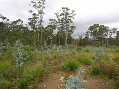 MT / Barrow Road, Nunamara