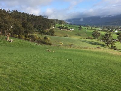 Lot 8 Deans Road, Glen Huon