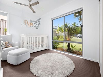 3 Nandina Court, Upper Coomera