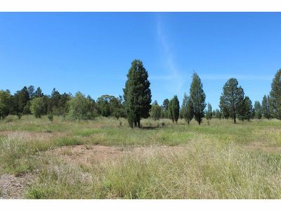 Hunts Road, Gunnedah