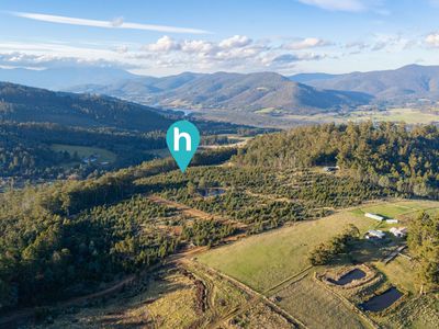 Lot 8 Paddys Lane, Franklin