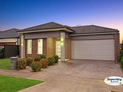 31 Toucan Road, Tarneit