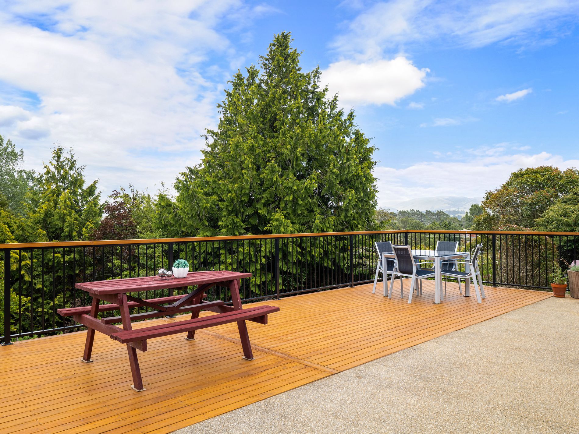 39 Kirkwall Street, Palmerston