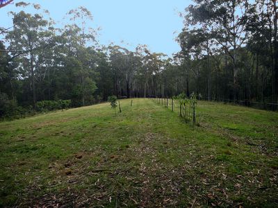 84 Mannings Rd, Cooranbong