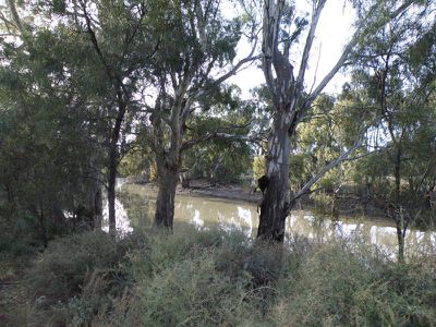 Moulamein