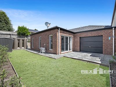 8 Pistachio Close, Hampton Park