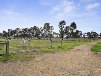 126 BEDWELL ROAD, Rushworth