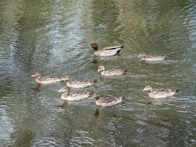 100 Lake Conjola Entrance Road, Lake Conjola
