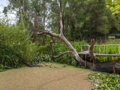 5 Governors Drive, Mount Macedon