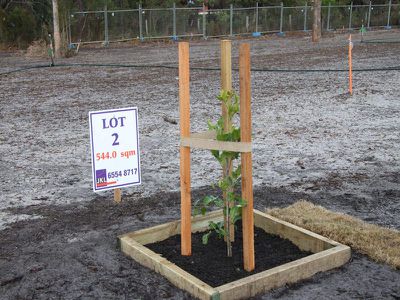 Lot 21 Massie Crescent, Tuncurry
