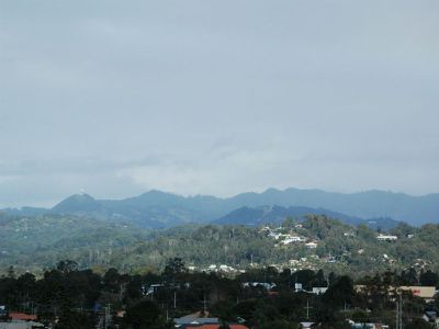 Palm Beach