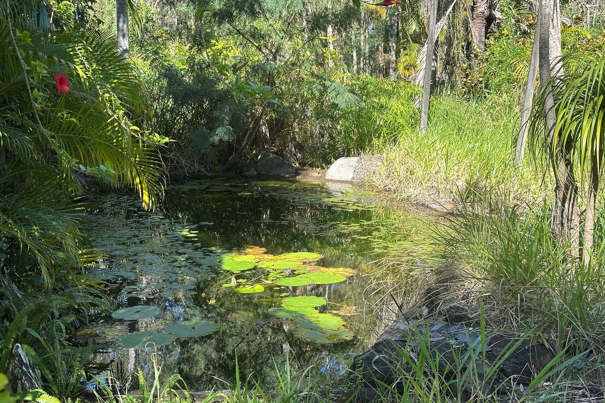 1667 Pumicestone Road, Toorbul