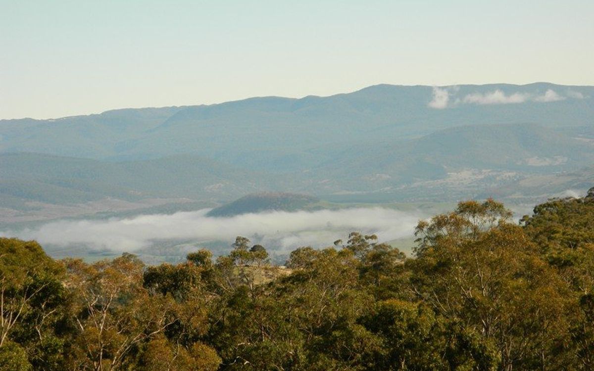 Black Hills Derwent Real Estate