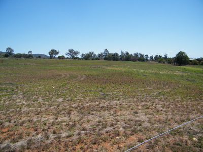 34 Carlyon Avenue, Gunnedah