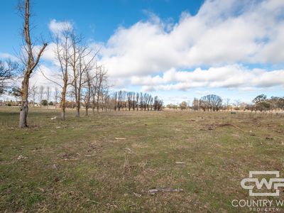 111 Llangothlin Road, Guyra