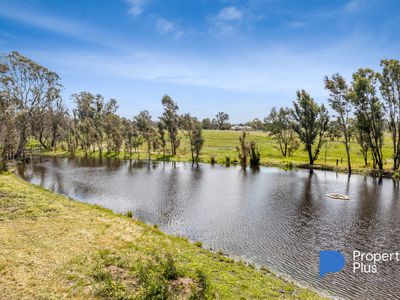 3932 Harmony Way, Harcourt North