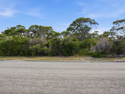 1 Moonbird Street, Lady Barron