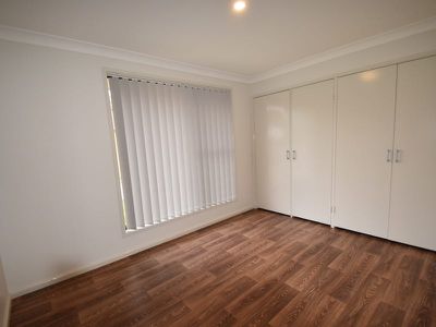 Mount Druitt