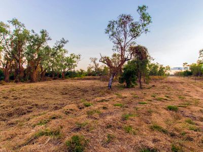 582 / Packsaddle Road, Kununurra