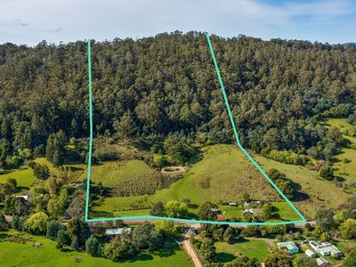 126 Castle Forbes Road, Castle Forbes Bay