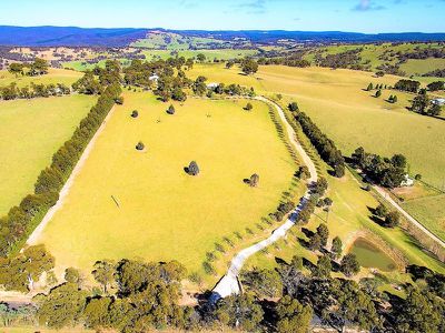 310 Curly Dick Road, Meadow Flat
