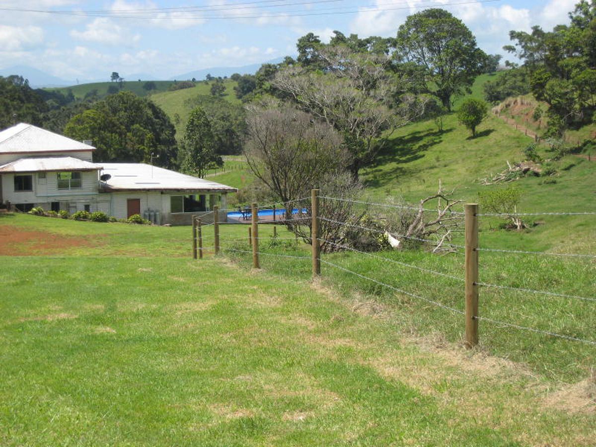 Millaa Millaa