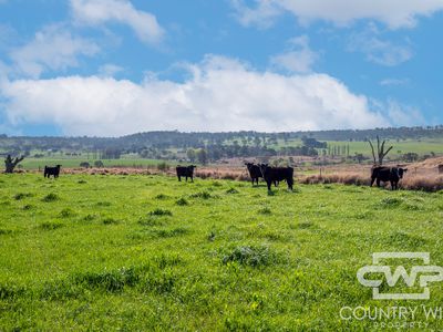 1067 Shannon Vale Road, Shannon Vale
