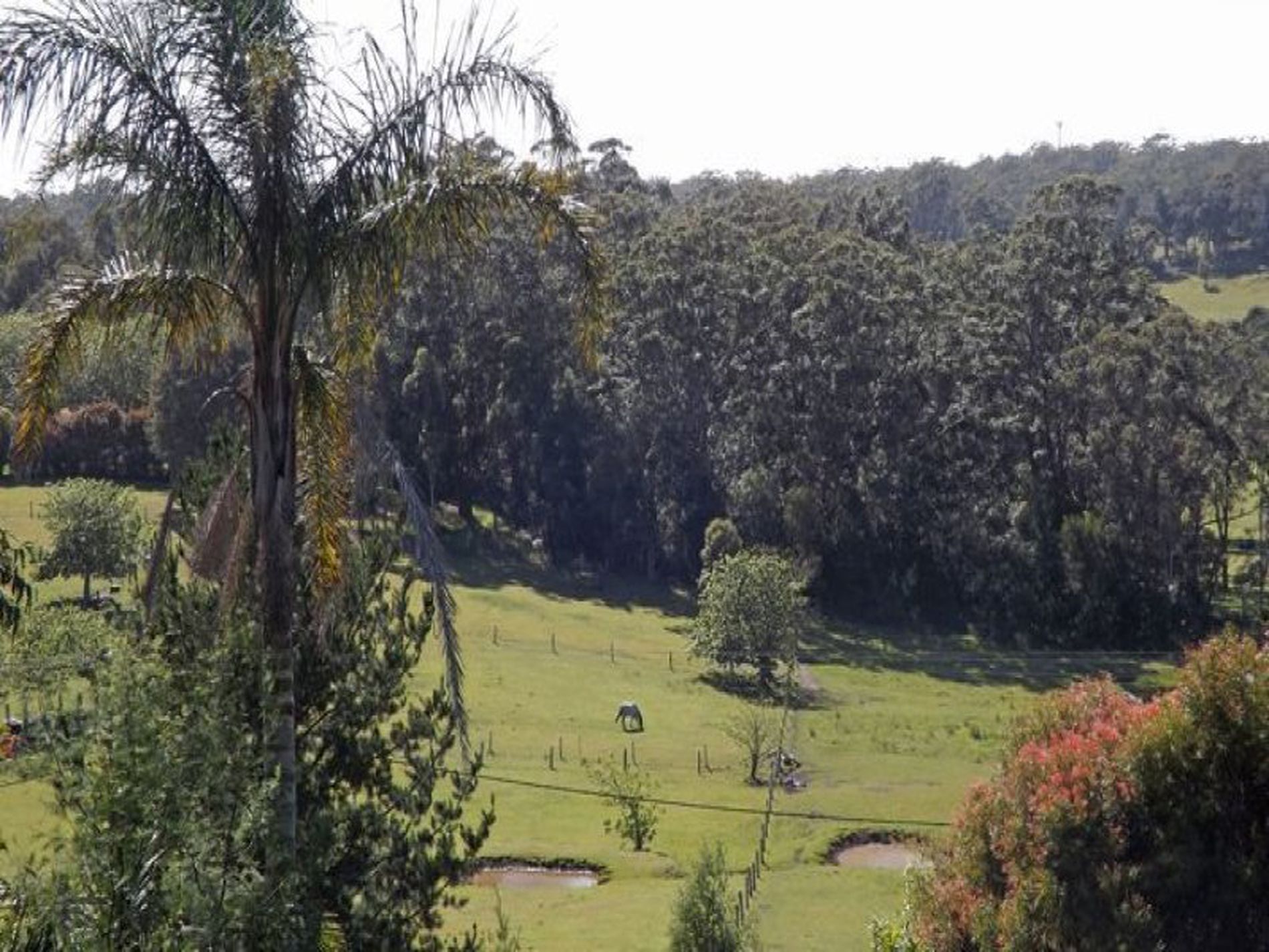 77 Garrads Lane, Milton