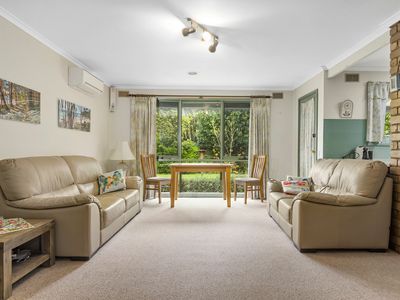 16 Gardiner Street, Gisborne