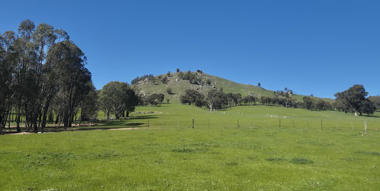 Lot 1  10 Dunnings Road, Balmattum