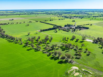 'Pastoria Park' 205 Balldale Road, Hopefield