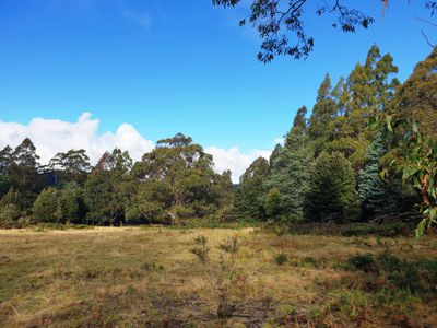 Lot 1 (East) Coal Mine Road, Kaoota