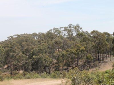 120 Rowbothams Track, Heathcote