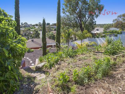 27 Gully Road, Seacliff Park