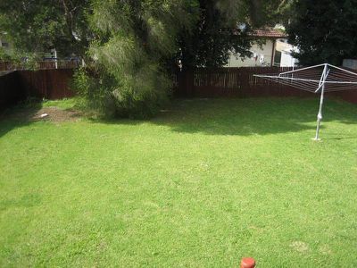 Mount Warrigal