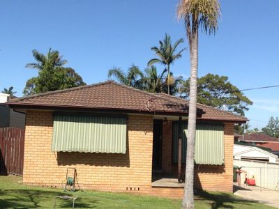 Mount Warrigal