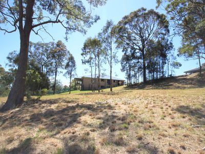 11 Timbertop Avenue, Forster