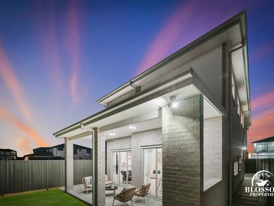 61 Feathertail Avenue, Marsden Park