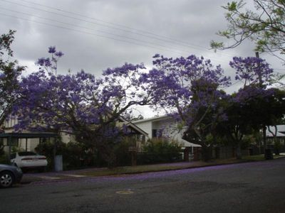 46 Burnham Road, Bardon