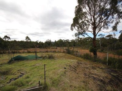 216 Lune River Road, Lune River