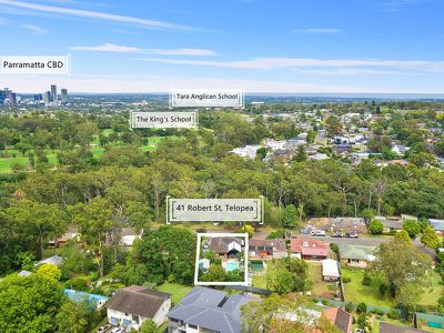 41 Robert Street, Telopea