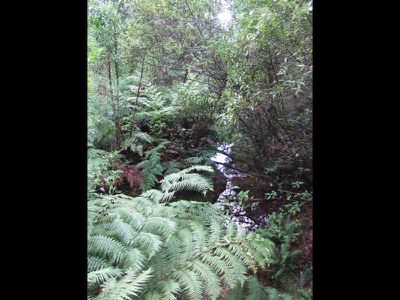 Lot Lot, 492 Mt Darragh Road, Lochiel
