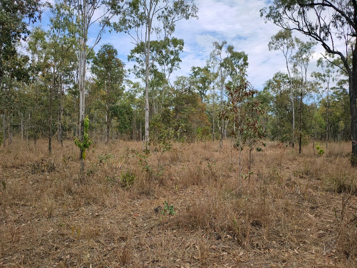 127 RIVER ROAD, Millstream