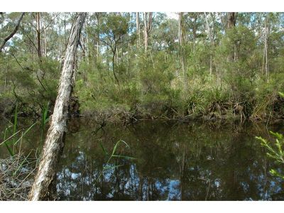 71 Maramingo Road, Maramingo Creek