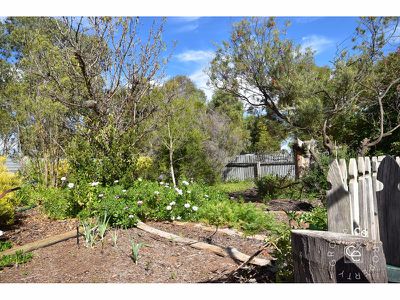 22 Mau Street, Mannum