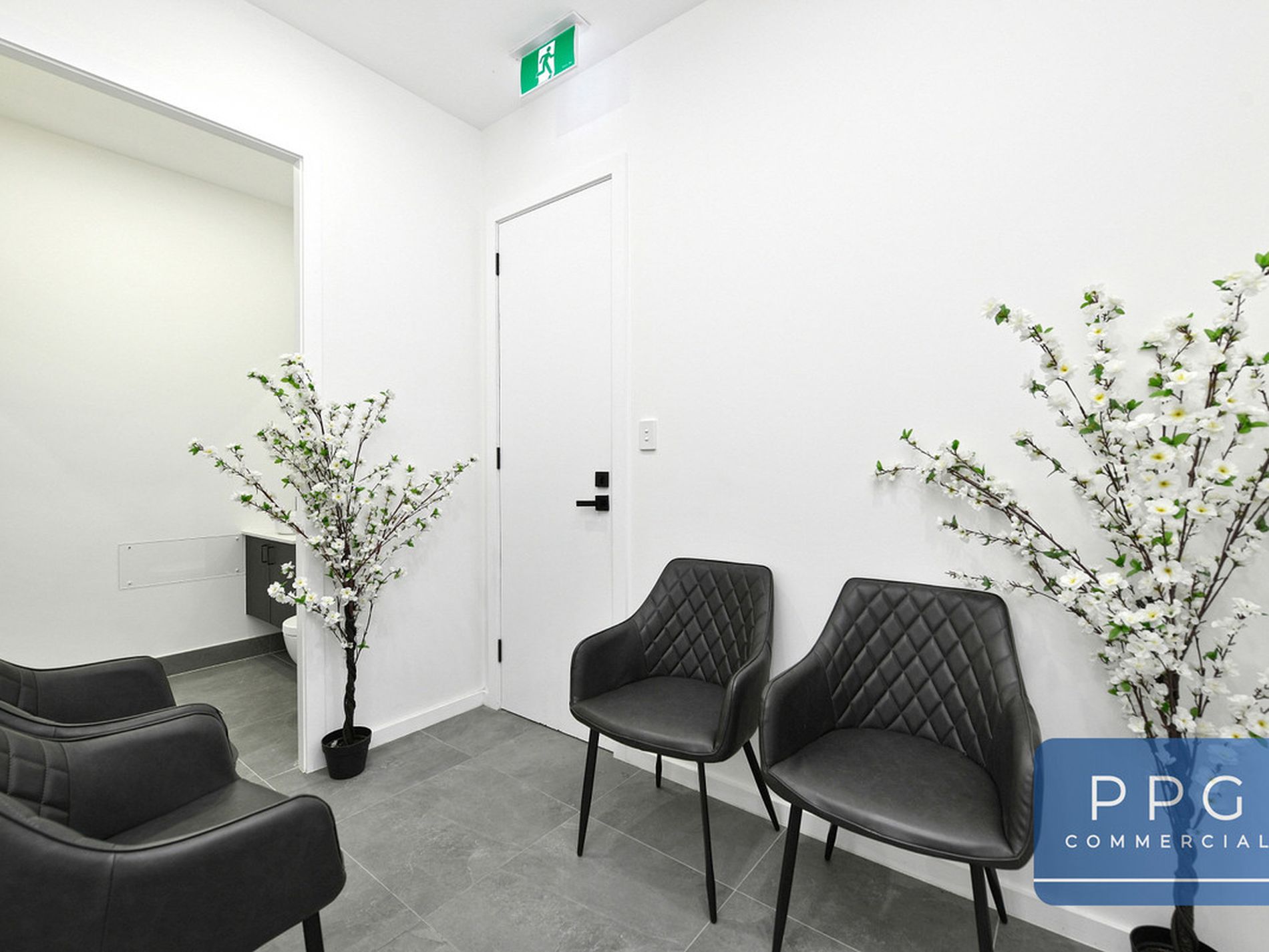 119 Wollongong Road, Arncliffe