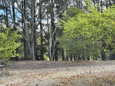 Creswick