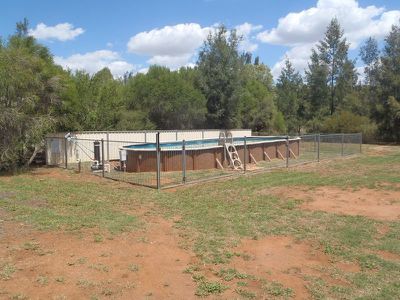 16 Homestead Drive, Dubbo